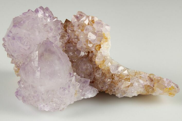 Cactus Quartz (Amethyst) Crystal Cluster- South Africa #187191
